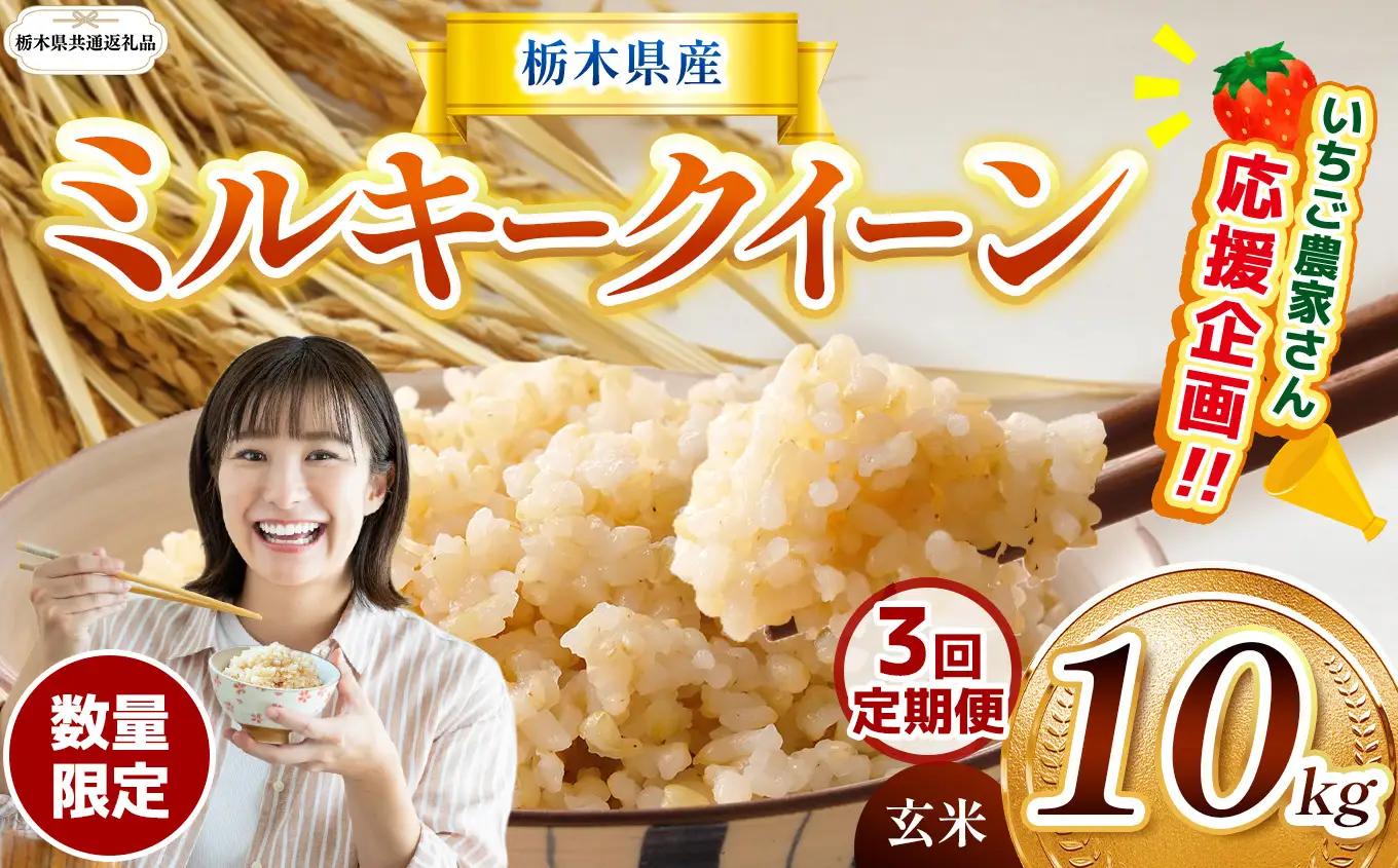 先行予約 【定期３回】令和8年度産 栃木県産 ミルキークイーン 10kg |【栃木県共通返礼品】