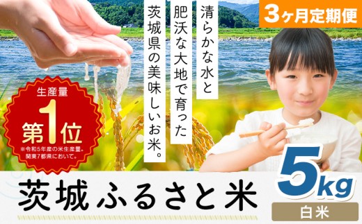 【3ヶ月定期便】米 茨城 ふるさと米 白米 5kg《申込月の翌月より出荷開始》茨城県 河内町 米 国産 お米 おこめ お弁当 おにぎり