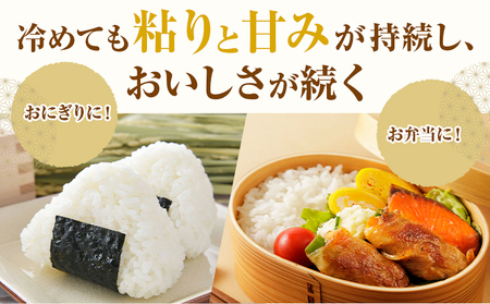 米 白米 コシヒカリ 令和8年産 5kg 森田農園