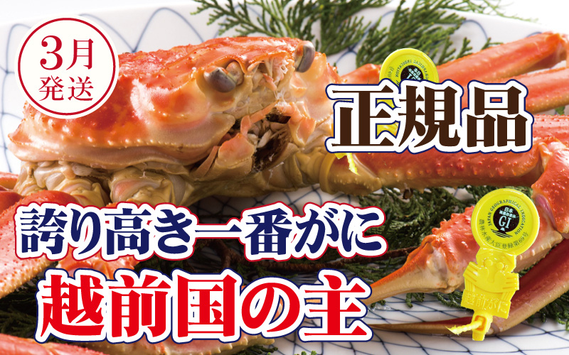 
            越前がに × 1杯（一番蟹）桐箱入り！越前国の主！越前がにの象徴【雄 ズワイガニ かに カニ 蟹 姿 生 ボイル 冷蔵 福井県】【3月発送分】希望日指定可 備考欄に希望日をご記入ください [e37-x010_03]
          