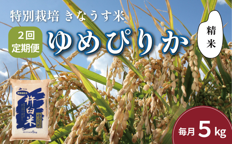 
                  【精米2ヶ月定期便】特別栽培「きなうす米」ゆめぴりか5kg×2回　H041
                