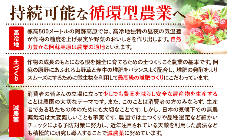 果実ぎっしり！木之内農園の手作りいちごジャム 2kg《30日以内に出荷予定(土日祝除く)》いちご ---isms_kinonsb_30d_24_16000_2kg---