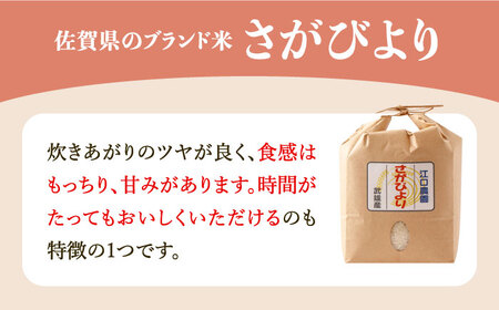 【14年連続最高評価特A受賞】令和6年産 新米 さがびより 無洗米 5kg 特別栽培米 /江口農園 [UBF031]