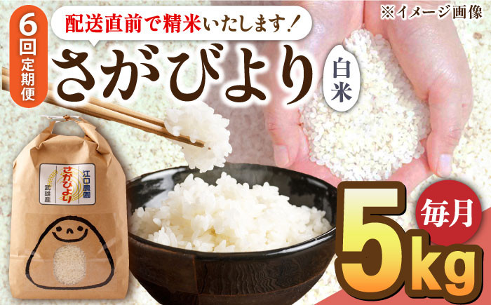 
            【2025年4月発送開始】【6回定期便】令和6年産 新米 さがびより 白米 5kg＜14年連続特A評価＞ 配送前精米/江口農園 [UBF007] さがびより 白米 米 お米 精米 佐賀県産 特A
          