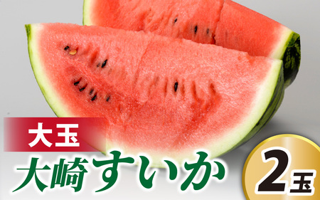 ＜2026年収穫分 先行予約＞大崎すいか 1箱（大2玉入り）|西瓜 甘い