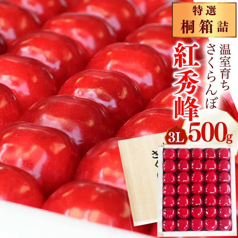 【ふるさと納税】《先行予約》特選 山形県産 温室育ち さくらんぼ 紅秀峰 3L 特秀品 500g 桐箱詰（発泡スチロール梱包）令和8年産 【2026年5月上旬頃〜5月下旬頃発送予定】※ 配送不可 沖縄・離島 2026年産 温室栽培 加温 ハウス 早い 贈答 冷蔵便 早出し 先取り