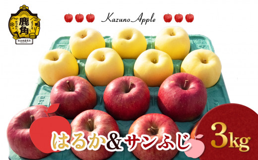《 先行予約 》鹿角 りんご「はるか＆サンふじ」3kg（7～10玉前後）【佐藤秀果園】●2026年12月上旬発送開始 リンゴ 林檎 贈答用 果汁 完熟 旬 県産りんご お中元 お歳暮 贈り物 お見舞い グルメ ギフト 故郷 秋田 あきた 鹿角市 鹿角 送料無料