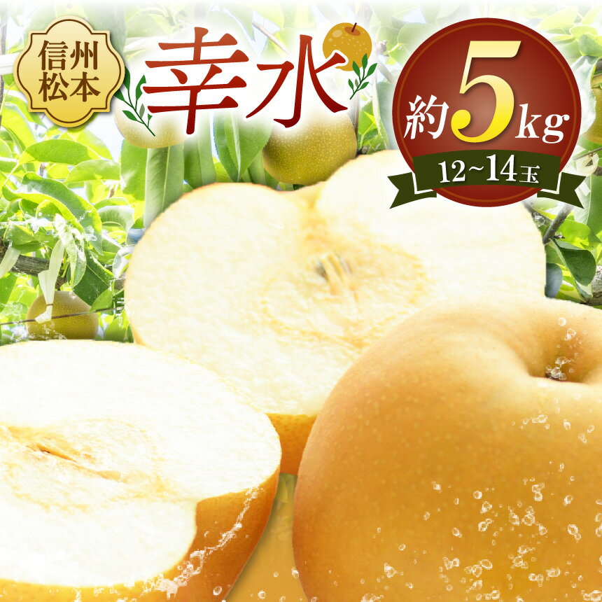 【ふるさと納税】【先行受付】幸水 12～14玉（約5kg）｜ふるさと納税 長野県 松本市 幸水 梨 甘い ジューシー フルーツ 大人気