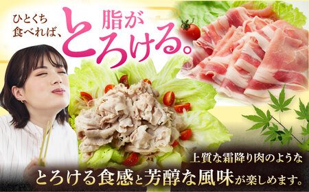 沖縄県産豚肉 しゃぶしゃぶセット (バラ・ロース) 計2.4kg (200g×各6P) 豚バラ 豚ロース スライス しゃぶしゃぶ 小分け 沖縄市 / 宮城ふぁーむ[BCAJ004]