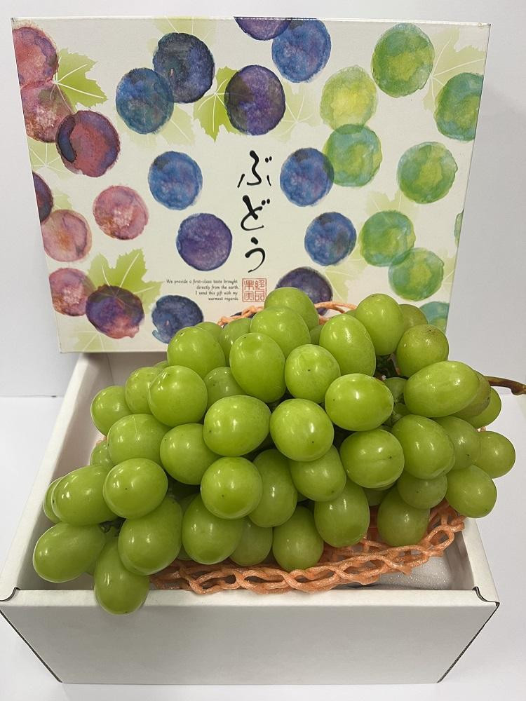 
                  【先行予約】 ［お届けは8月中旬予定］ 大府市農園直送 完熟シャインマスカット２房 （2Kg以上） 贈答用にも
                