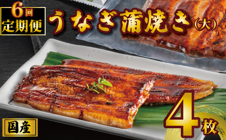 国産うなぎ蒲焼き タレ・山椒付き 4枚 1枚約110g 定期便6回 鰻 鰻 鰻 鰻 鰻 石毛川魚店