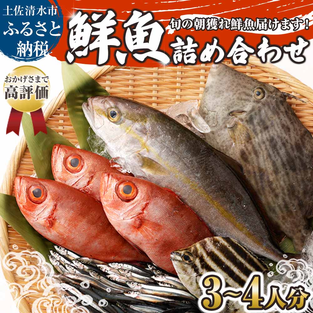 【ふるさと納税】旬の朝獲れ鮮魚詰め合わせ 以布利定置網 漁師直送 朝獲れ 朝どれ 鮮魚ボックス 旬 鮮魚 3～4人分 魚介 海鮮 魚 さかな せんぎょ サバ タイ アジ 鮮魚セット 詰め合わせ おまかせ お任せ 故郷納税 高知県 土佐清水市 送料無料 高知 産地直送【S00818】