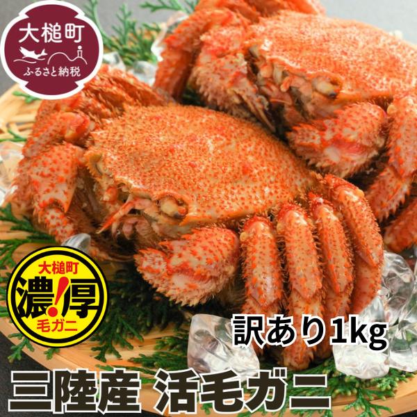 【期間限定！令和8年3月～4月発送】訳アリ三陸産活毛ガニ 1kg 【35】天然 国産 冷蔵 三陸 直送 濃厚 かに 蟹 カニ 毛ガニ 毛蟹 毛がに 初栄丸