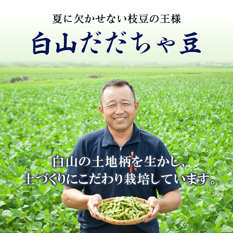【令和8年産先行予約】 白山だだちゃ豆　1kg（500g × 2袋）　鶴岡市白山産　長五郎 | 本場 白山 だだちゃ豆 えだまめ 枝豆 茶豆 おつまみ 人気 おすすめ 朝採り 新鮮 旬の味覚 特産品 