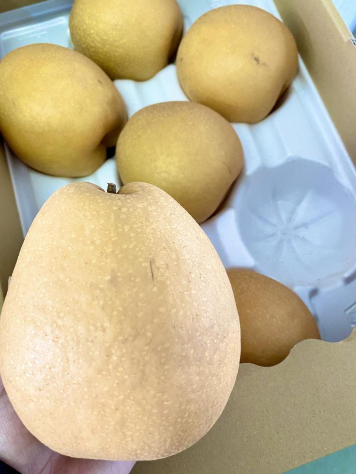 【 数量限定 】 伊万里梨 王秋 2.5kg 令和7年産 113-B852