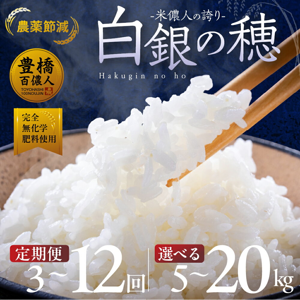 【ふるさと納税】＼高評価★5／白銀の穂 5kg 10kg 20kg 選べる 定期便《3回 / 6回 / 12回》白米 お米 大容量 6か月 10キロ 20キロ おこめ 米 こめ コメ ふるさと納税米 ブランド米 令和6年 令和7年 新米 こしひかり コシヒカリ ランキング 送料無料 愛知県 豊橋市