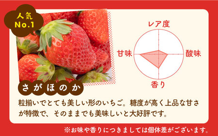 【先行予約 2027年1月～発送】【4回定期便】食べ比べ！恋みのり＆さがほのか 定期便 いちご
