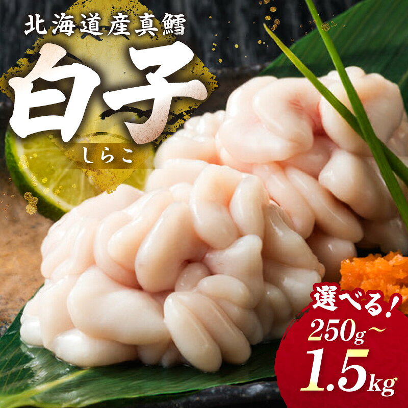【ふるさと納税】【予約：2027年1月中旬から順次発送】チルド発送で鮮度抜群 濃厚クリーミーな旬の味覚！ポン酢で味わう冬の贅沢 北海道産 真鱈白子 250g 500g 1kg 1.5kg ( 白子 真鱈 マダラ たら タラ 魚介類 水産物 おつまみ )
