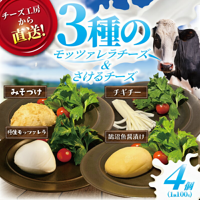【ふるさと納税】 チーズ モッツァレラ 3種＋ チギチー チーズ 4種セット 極生 魚醤漬け 味噌漬け チギチー モッツァレラチーズ 裂けるチーズ ちーず ナチュラルチーズ cheese ビール おつまみ おやつ 人気 お取り寄せ Aprotodo’S株式会社 RRAAP BREWERY 神奈川 湘南 藤沢