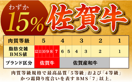 【美食家も虜になる上質な部位】佐賀牛 ヒレ ブロック 1kg 【がばいフーズ】A5ランク 佐賀牛[HCS091]