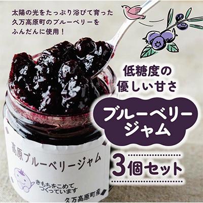 ふるさと納税 久万高原町 高原ブルーベリージャム3個入りセット