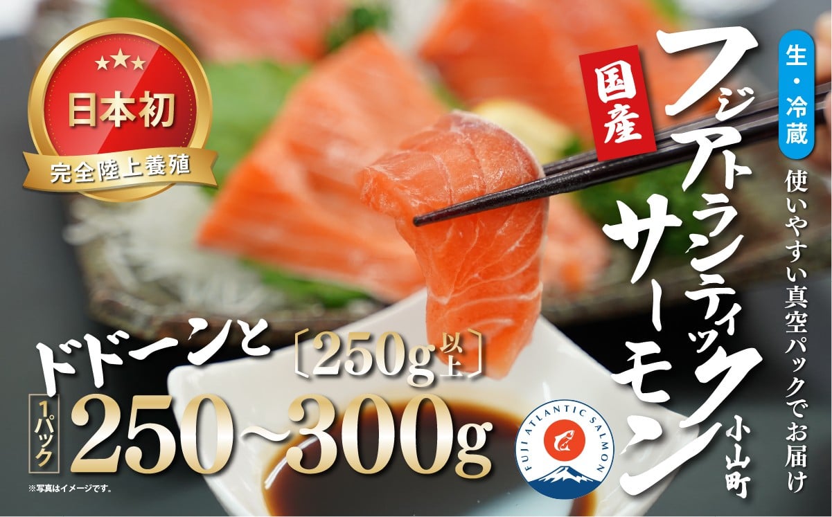 
            日本初 完全陸上養殖 フジアトランティックサーモン 生 ・冷蔵 1パック 250～300g（ 250g以上 ） | サーモン アトランティックサーモン 刺身 海鮮丼 さーもん 小分け 真空パック 人気 おすすめ 国産 静岡県 小山町
          