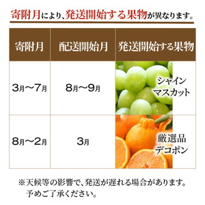 三豊市フルーツ2回お届け定期便C_M64-0028