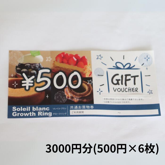 【ふるさと納税】店舗利用券3000円分