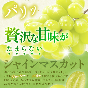 【はじまり農園 うの】大粒シャインマスカット２房（約700g） 山形県河北町産 【河北町観光物産協会】