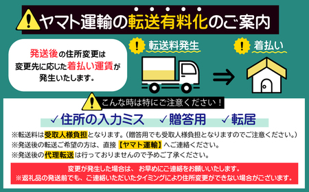 2W4-S　六蔵　博多黒もつ鍋セット　５～６人前