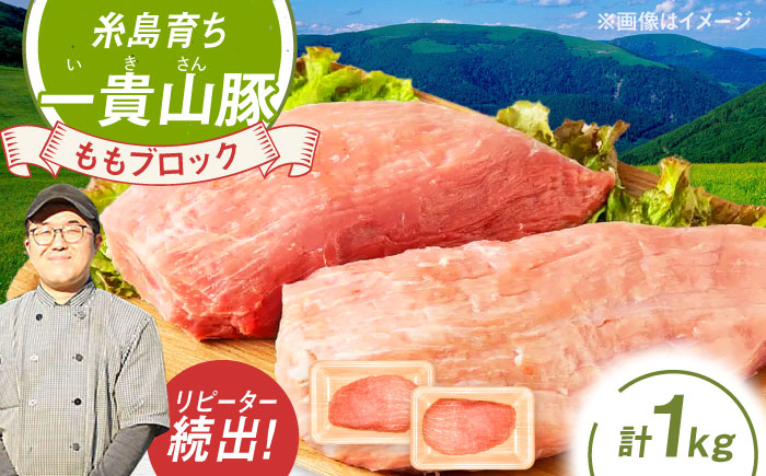 一貴山豚 モモブロック 1kg 糸島市 / いきさん牧場 豚肉 [AGB038] 豚肉 豚 ブランド豚 一貴山豚 ポーク モモ もも 塊肉 ブロック肉 1kg 肉