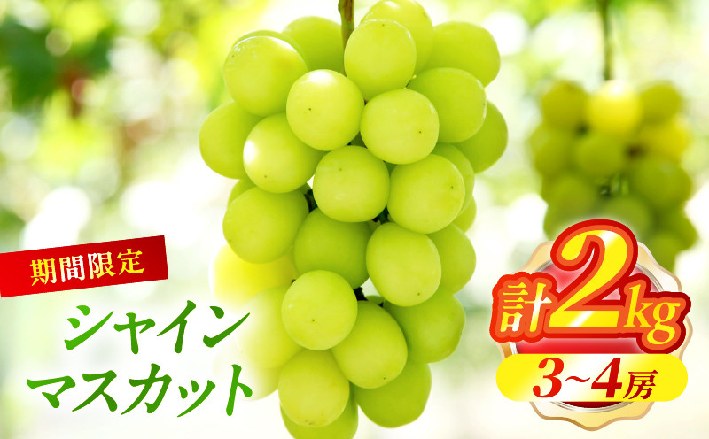 
            先行予約≪期間限定≫シャインマスカット(計2kg) ぶどう フルーツ 果物 デザート 国産_T051-001
          