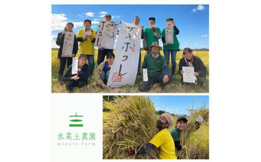 もち米 新米 令和8年産 きぬのはだ 10kg 秋田県 井川町産 選べる 容量 白米 精米 餅米 水菜土農園
