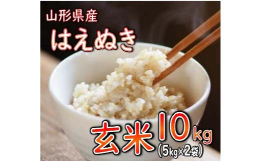 
            はえぬき 玄米 10kg（5kg×2袋） 【令和6年産】 2024年11月または12月発送 山形県産 米 コメ こめ F3S-2264
          