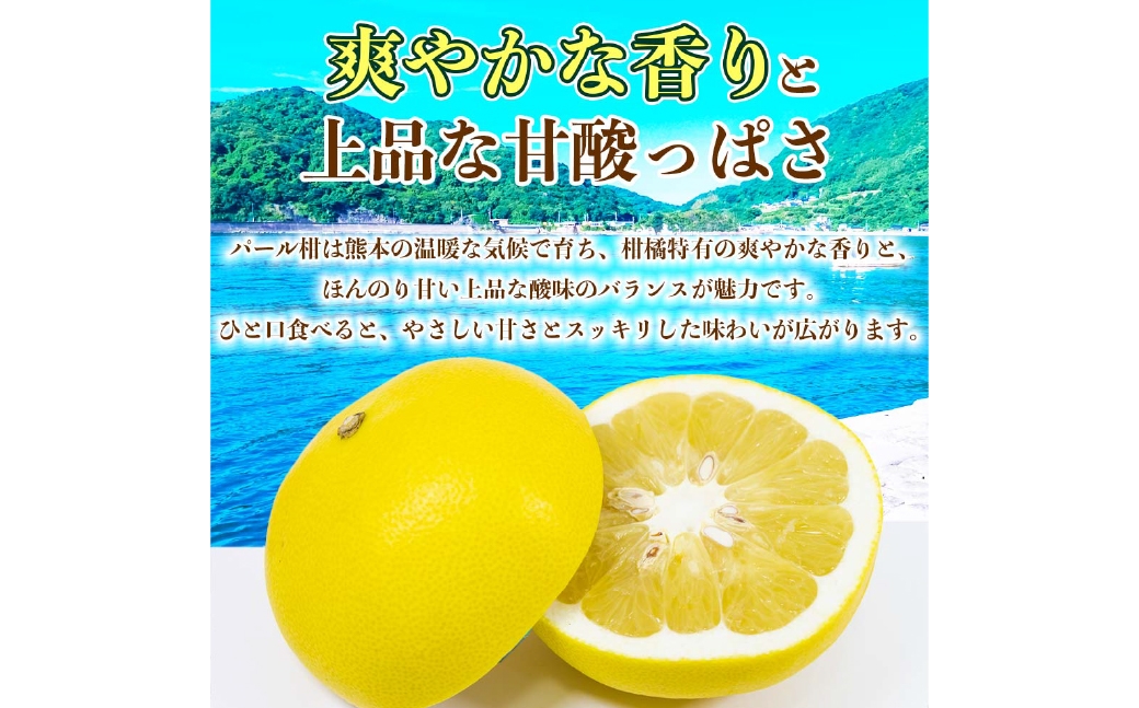 パール柑 約5kg
