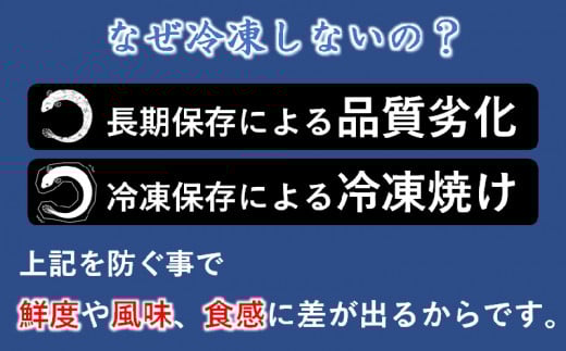 【食べログ高評価】国産うなぎ炭火焼 かば焼き3尾 明治27年創業老舗「うなぎの入船」 熟成たれ付<3-9>魚介類 ウナギ 鰻 蒲焼き 宮崎県西都市 決済完了後30日以内の発送