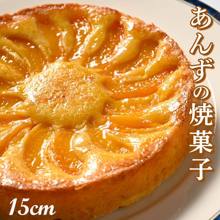 （15cmホールケーキ）あんずの焼菓子【思いやり返礼品】