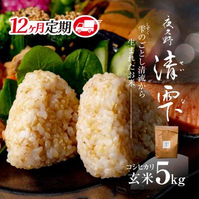 ふるさと納税 福知山市 【毎月定期便】京都夜久野産　清雫(せいな)コシヒカリ 玄米5kg全12回