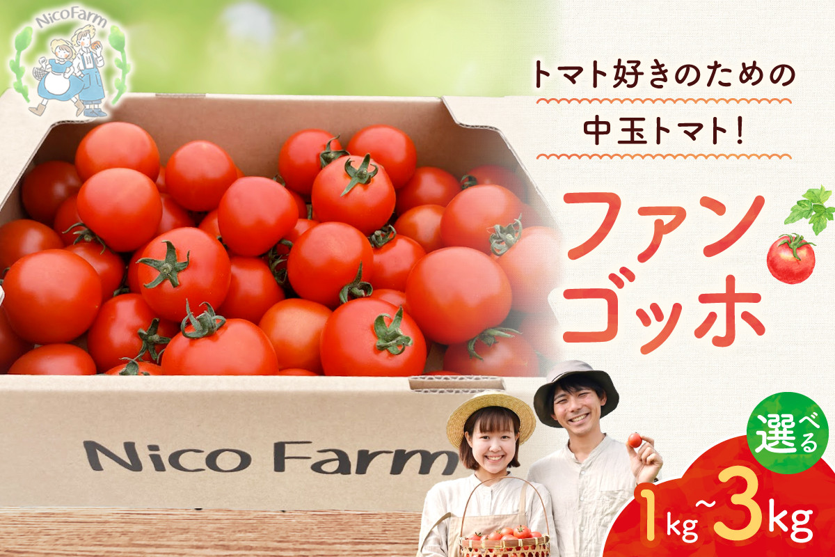 
            【容量が選べる】【先行予約：2026年7月下旬頃より発送】NicoFarm ファンゴッホ（中玉トマト）
          