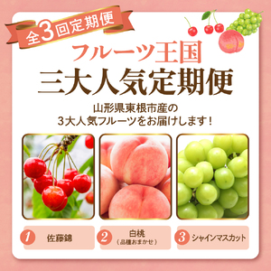 【2026年 先行予約 3回定期便】2026年 フルーツ王国 三大人気定期便 千笑花夢提供 山形県 東根市 hi082-041　 サクランボ さくらんぼ 佐藤錦 フルーツ 果物 くだもの クダモノ ぶ