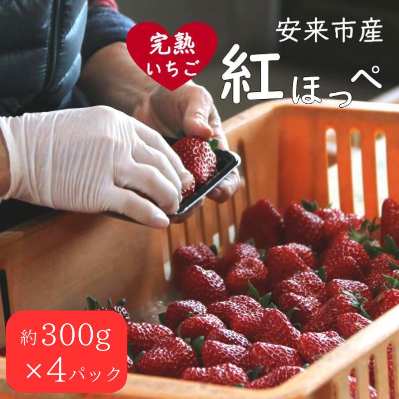 【ふるさと納税】いちご 紅ほっぺ 4パック ／ 先行予約 受付 完熟 苺 イチゴ 島根県産 甘い 人気 特産品 高級 フルーツ デザート 300g 1200g