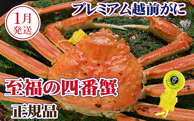 
                  越前がに × 1杯（四番蟹）桐箱入り！至福のプレミアム越前がに【雄 ズワイガニ かに カニ 蟹 姿 生 ボイル 冷蔵 福井県】【1月発送分】希望日指定可 備考欄に希望日をご記入ください [e37-x007_01]
                