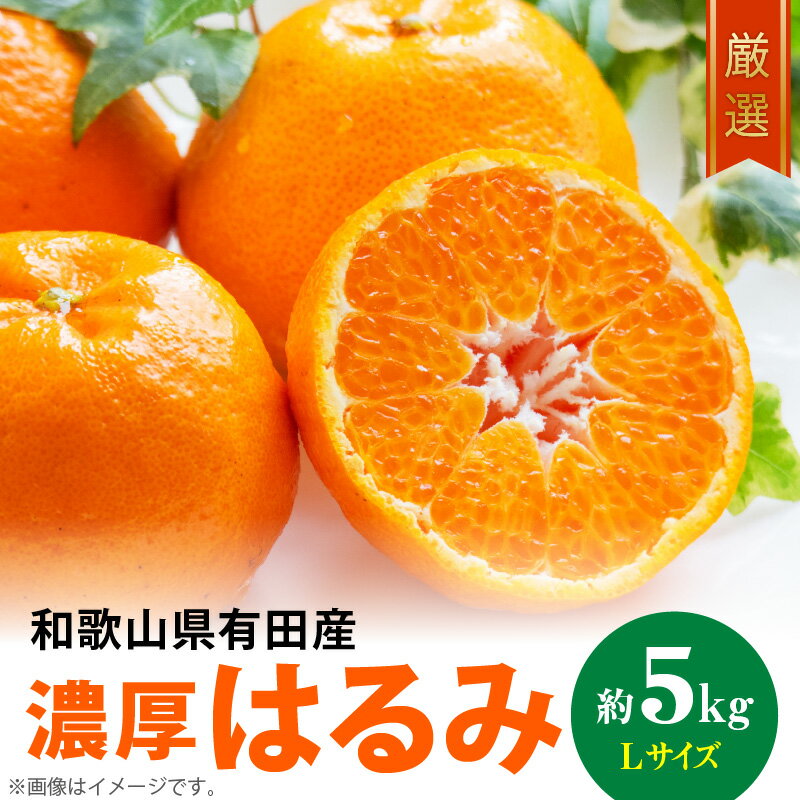 【ふるさと納税】【2026年先行予約】【限定】 和歌山有田の濃厚 はるみ 5kg (Lサイズ)【ハルミ 春見 ミカン 蜜柑 柑橘 和歌山 有田】