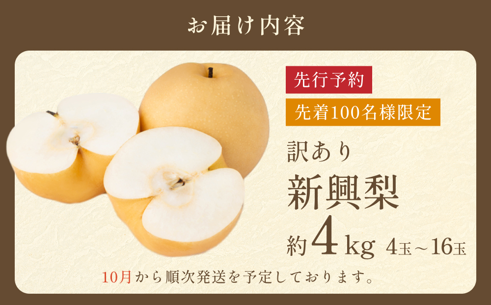 先行予約 訳あり 新興梨（しんこうなし）4kg｜鳥取 果物 フルーツ なし 梨【41043】