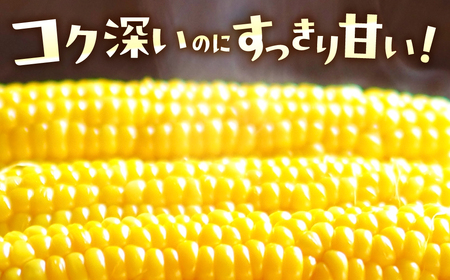 ＜先行予約＞ 朝採り とうもろこし 10本～11本 とうもろこし 冷蔵 糖度 フルーツ くらい 甘い 田原市 トウモロコシ コーン おやつ スイーツ コーンスープ にも 事前予約 旬 夏 初夏 野菜 