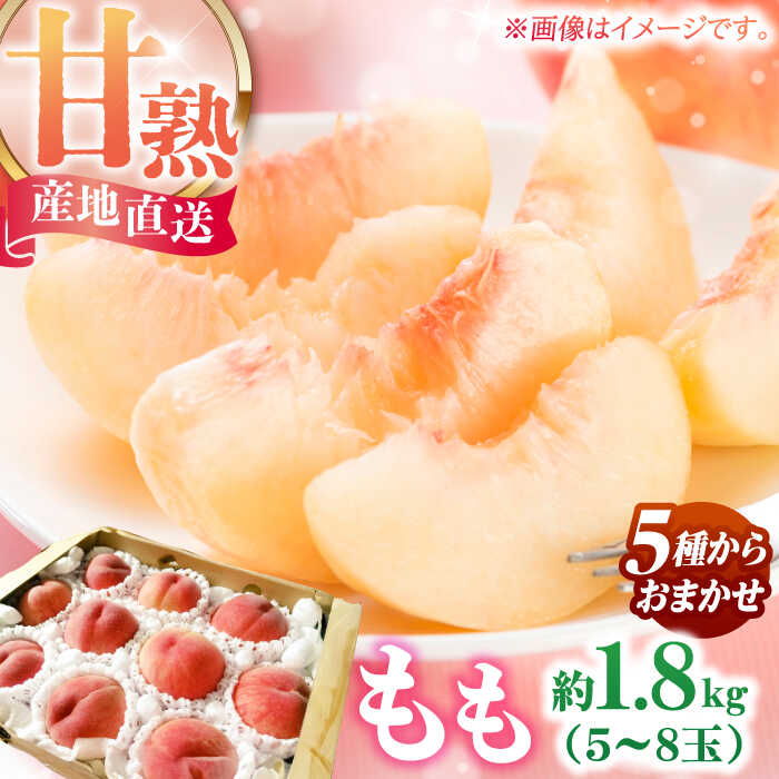【ふるさと納税】【令和7年6月より発送】【食べごろ品種をお届け】【厳選発送】【農家さんおすすめ】 桃 （ちよひめ/日川白鳳/加納岩白桃/千曲白鳳/あかつき）の中から 約1.5〜1.8kg （5玉〜8玉） もも 果物 広川町 / 亀井通産（株）[AFAR024]