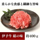 【ふるさと納税】伊予牛「絹の味」黒毛和牛 小間切れ400g　【牛肉・お肉】