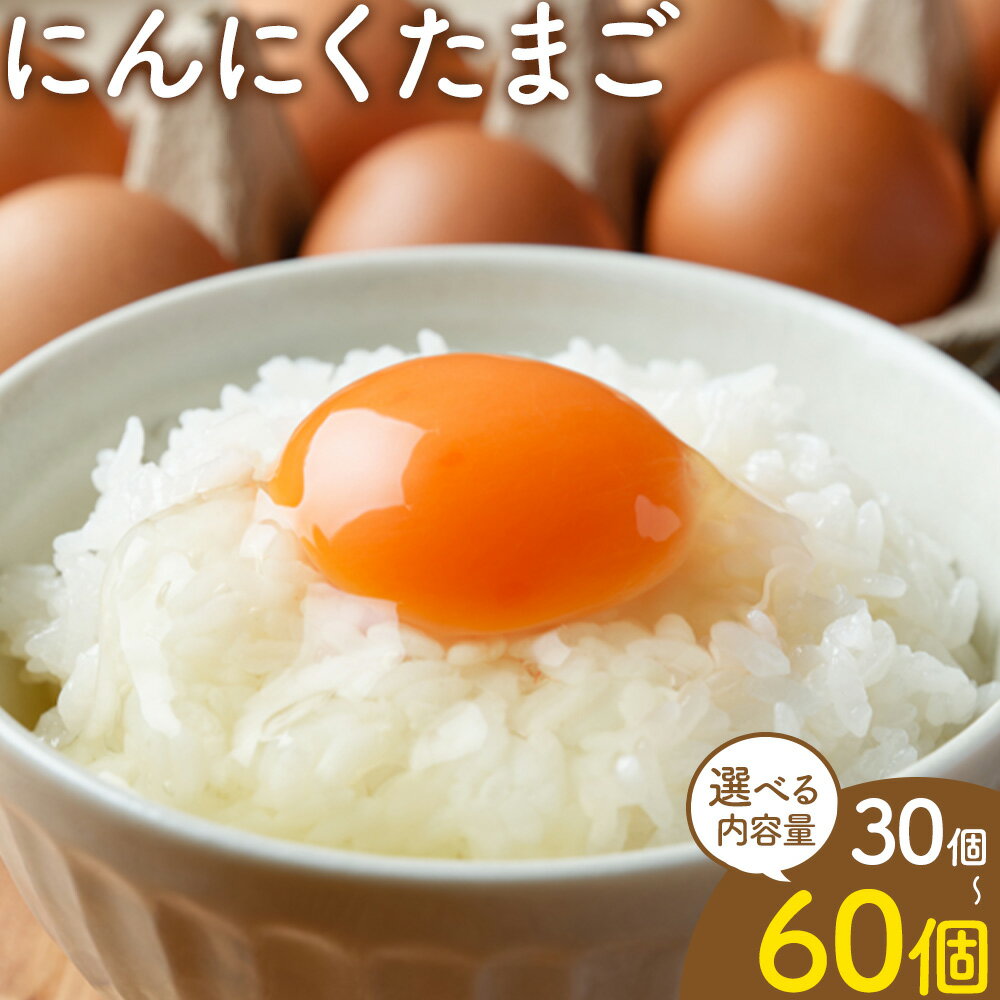 【ふるさと納税】卵 にんにくたまご 選べる 内容量 30個 60個 株式会社つづき《90日以内に出荷予定(土日祝除く)》熊本県 菊池市 卵 たまご にんにく卵 鶏卵 熊本県産 九州産 冷蔵 送料無料