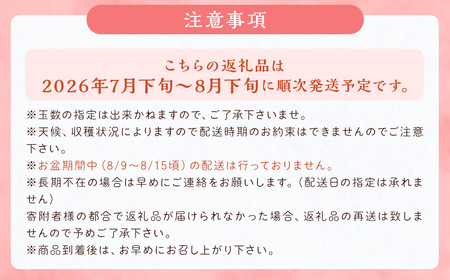 数量限定 幸水梨 約5kg 9～12玉【2026年7月下旬～8月下旬発送】 ナシ 梨 果物 フルーツ 福岡県産