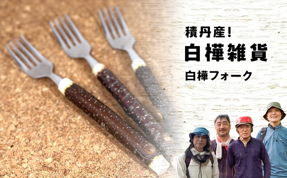 
            ≪数量限定≫積丹【白樺フォーク1個】北海道 森林保持
          